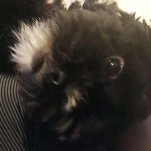 Meet your Posher, Tirzah